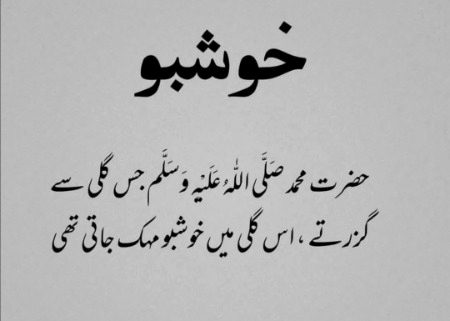 Islamic Quotes image