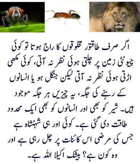 🖤🧡💗🖤🧡💗🖤🧡💗