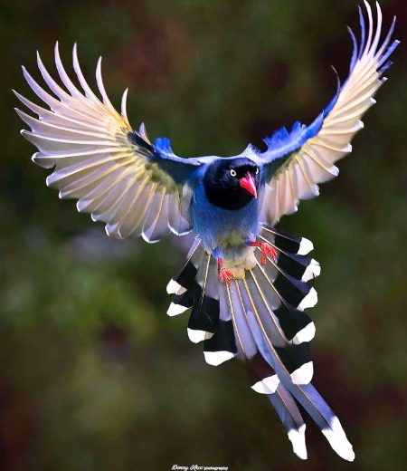 Beautiful Nature image
