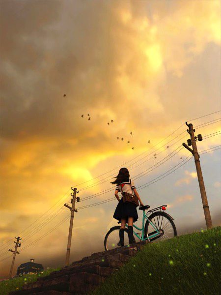 Beautiful Nature image