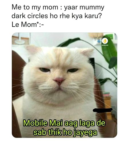 Memes & Satire image