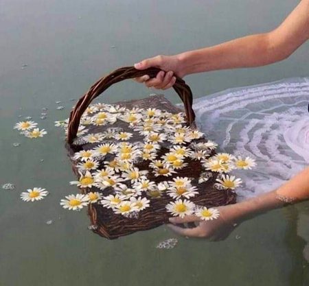 Beautiful Nature image