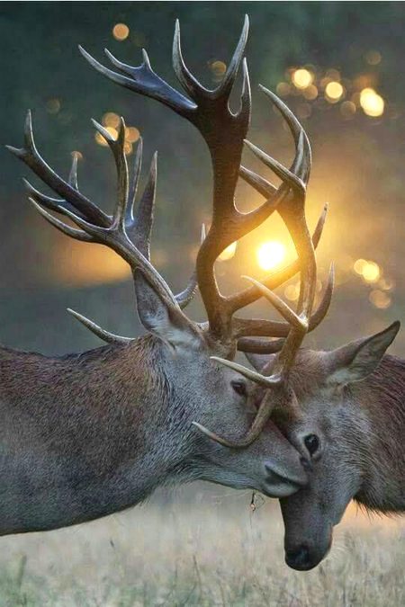 Beautiful Nature image