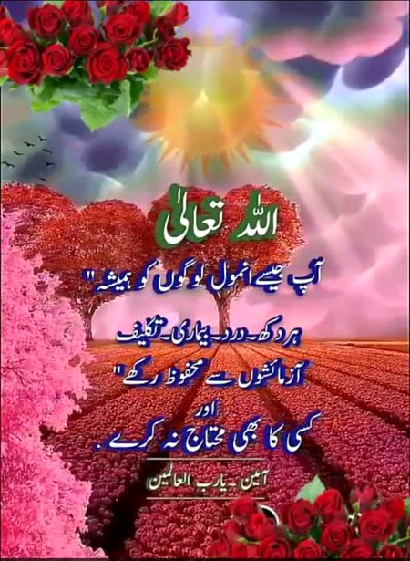 Islamic Quotes image