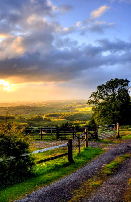 Beautiful Nature image