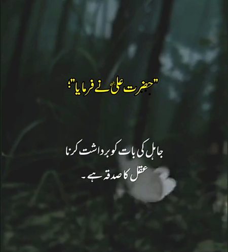 Islamic Quotes image