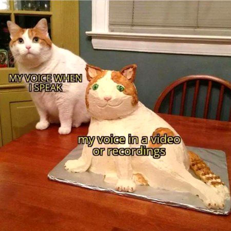 Memes & Satire image