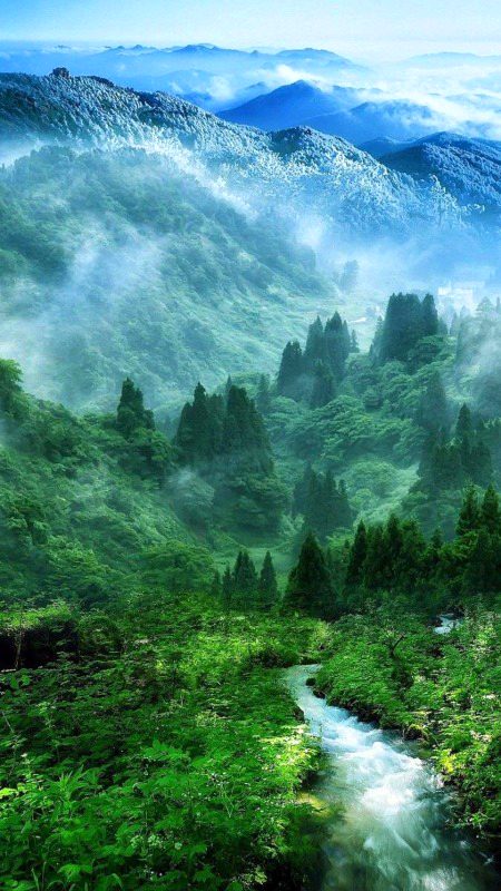 Beautiful Nature image