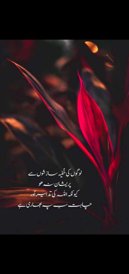 Cnutfgjjjtf njgfbhfcch