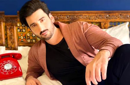 Pakistani Celebs image