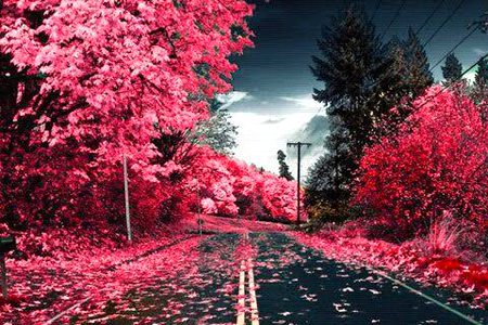 Beautiful Nature image
