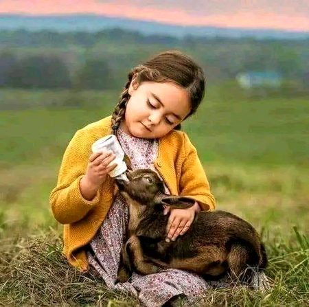 Beautiful Nature image