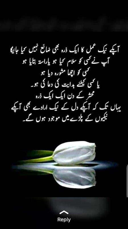 Asalaam o walaikum all frinds