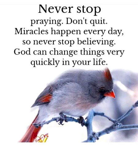 Motivational Quotes image