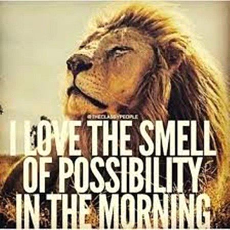 Attitude Quotes image