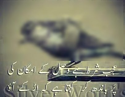 یہ بھی اچھا ہے کہ صرف سنتا ہے دل اگر بولتا ہوتا تو قیامت ہوتی