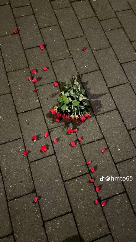 Beautiful Nature image