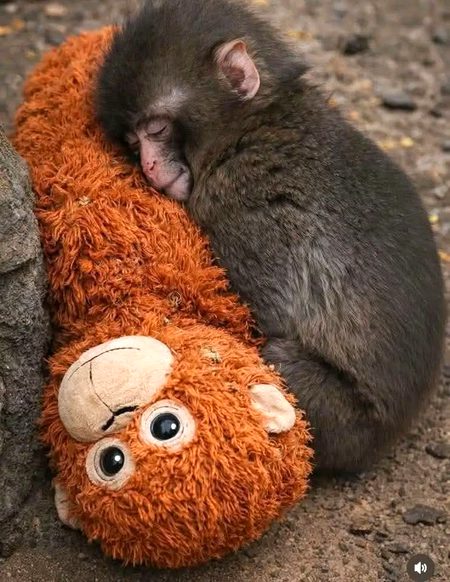 ماں کے بغیر دنیا فقط جہنم ہے 💔💔