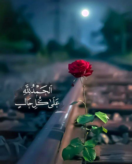 Beautiful Nature image