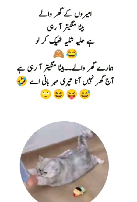 .r1 all gdnyt tc all