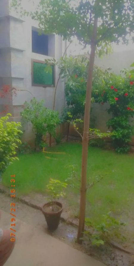 Beautiful Nature image