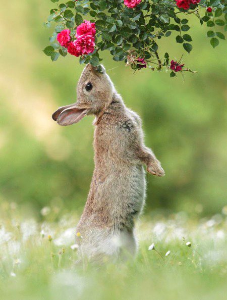 Beautiful Nature image