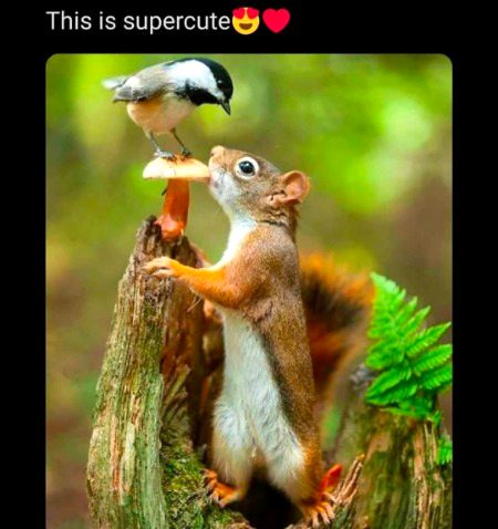 Beautiful Nature image