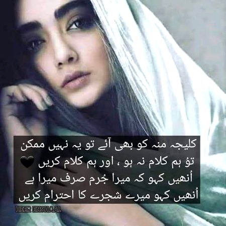 اُس نے ہماری سمت اگر دیکھنا نہیں. . . .  بدحال ، بد مزاج ہیں ، جیسے ہیں ٹھیک ہیں