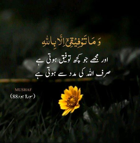 Islamic Quotes image