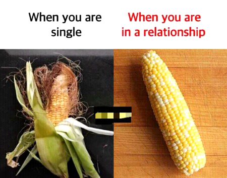 .....⊙_⊙