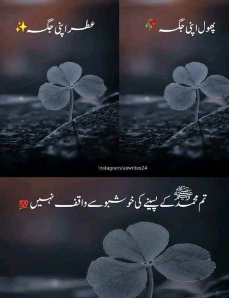 Islamic Quotes image