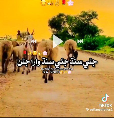 Sindhi Topi Ajruk Wara jean...โคโค๐๐๐คฒ๐ฝ๐โฃ๐๐๐๐๐๐ซ๐ซ๐๐ง
