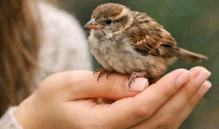 جینا پڑتا ہے کھڑکیوں کے قریب
جھانکنا انتظار تھوڑی  ہے✨