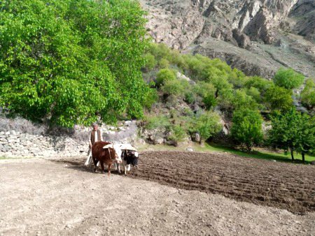 Beautiful Nature image