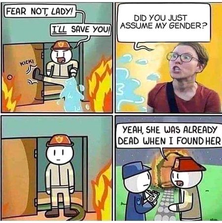 Memes & Satire image
