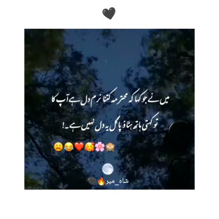 😔🤍😇🥰❤️😍🤭😜🥀🌸
"شاہ_میر"🔥🖤