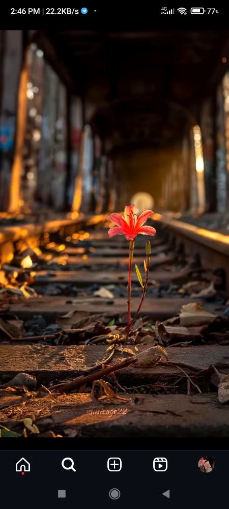 Beautiful Nature image