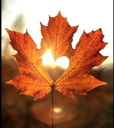 Beautiful Nature image
