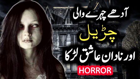 Horror Novels image