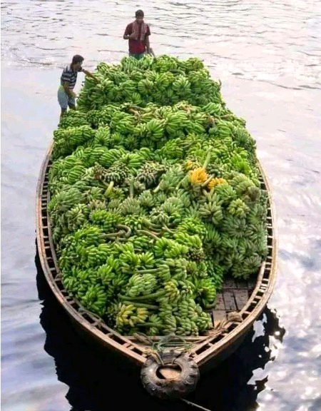 Beautiful Nature image