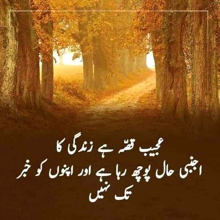 Sad Poetry image