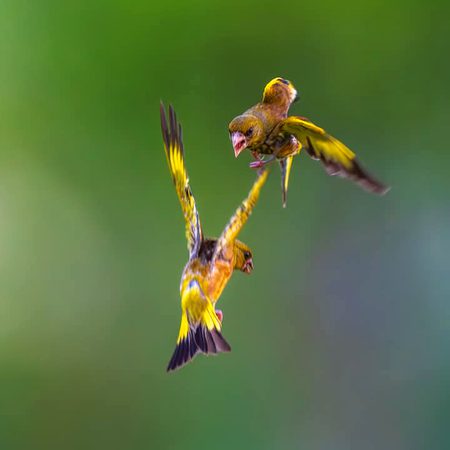Beautiful Nature image