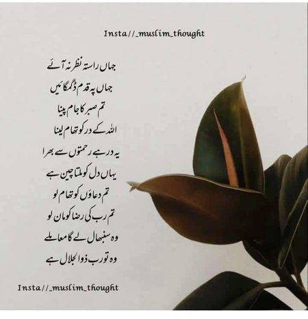 Motivational Quotes image