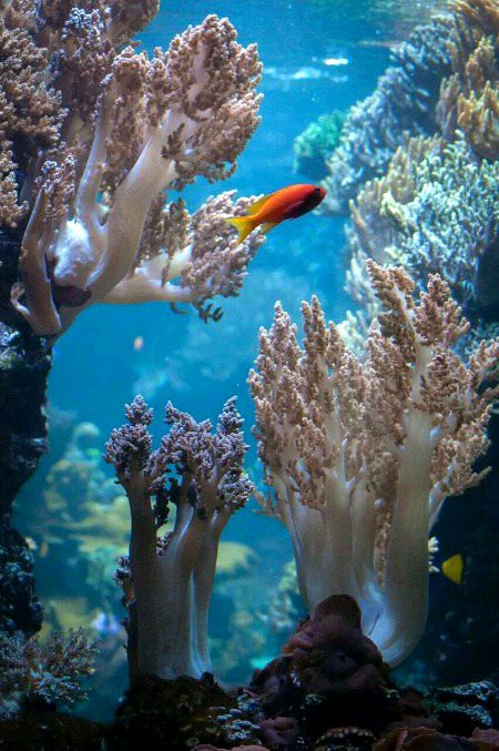 Beautiful Nature image