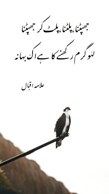 Motivational Quotes image