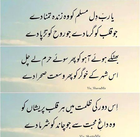 ❤💚💜❤💚💜