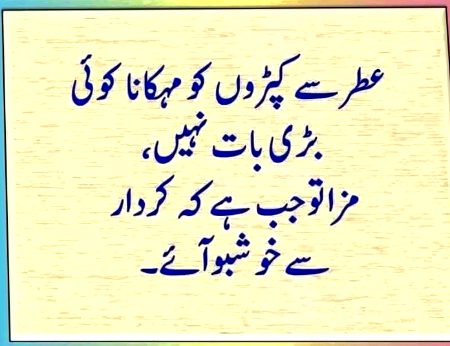 Mat bno kisi k liy khuli kitab..jahalt ka dor hy ..prh kr phar diy jao gy🙏😔