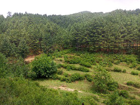 Beautiful Nature image