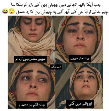 Memes & Satire image