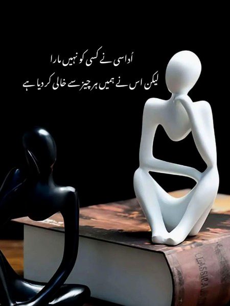 🌹 merijan-16 🌹